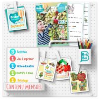 La BriBri Trousse (No. 1)